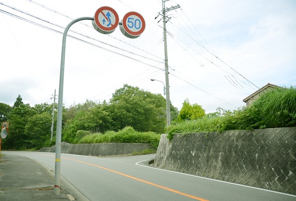 3145.jpg