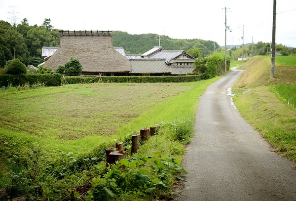 3148.jpg