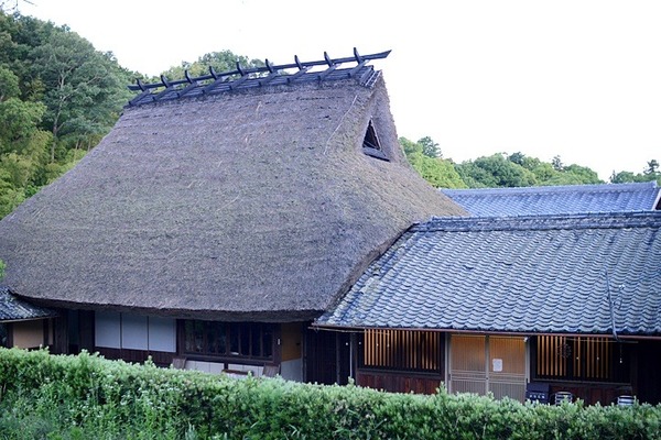 4633.jpg