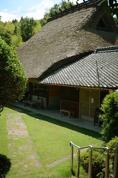 4695.jpg