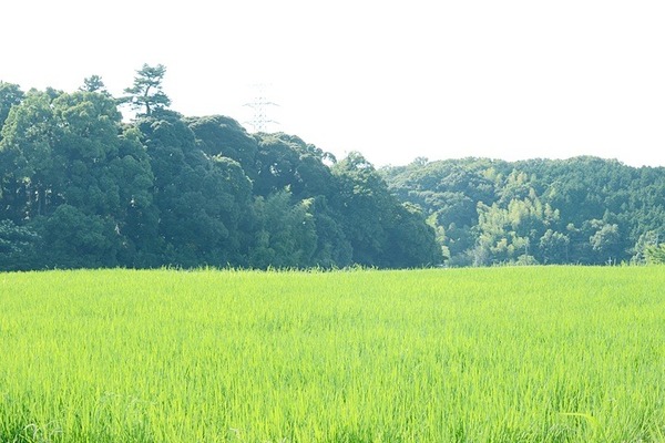 4710.jpg