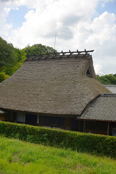 4770.jpg