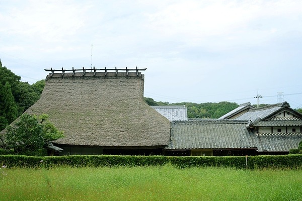 4784.jpg