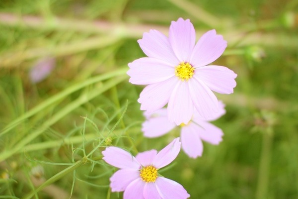 4800.jpg