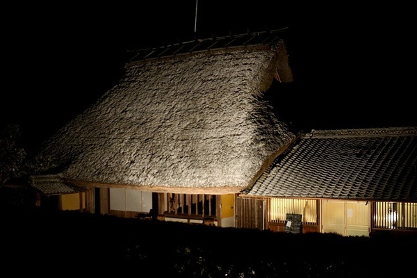 4930.jpg