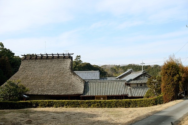 4941.jpg