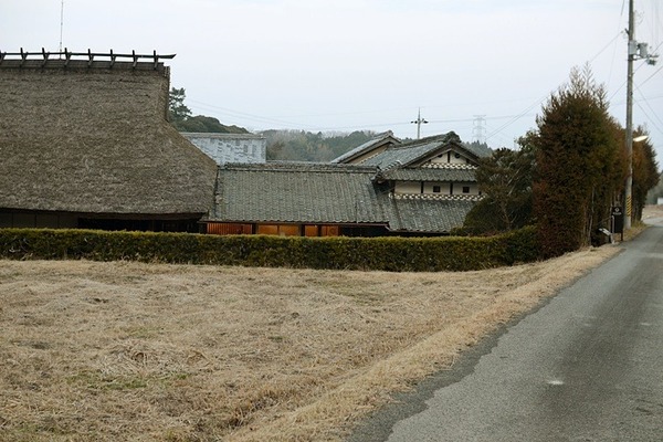 4951.jpg