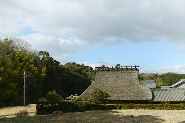 4953.jpg