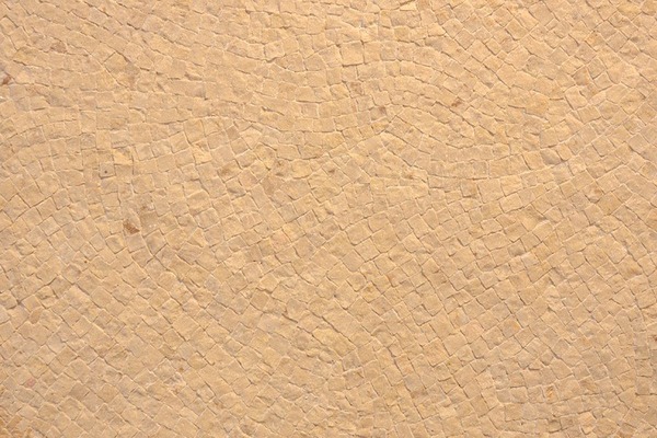 5101.jpg