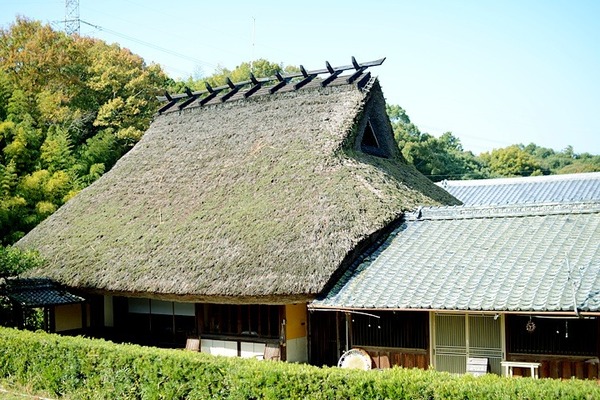 5349.jpg