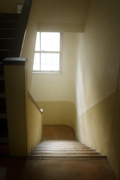 5474.jpg
