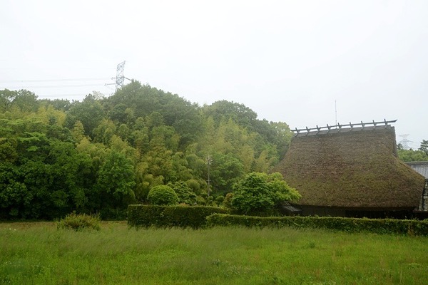 5540.jpg