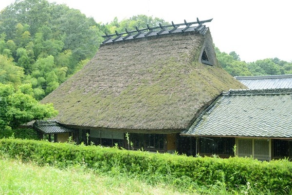 5559.jpg