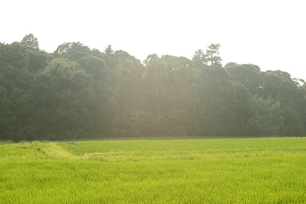 5567.jpg