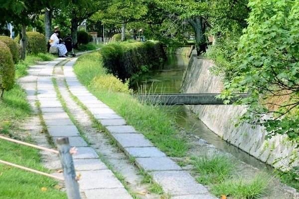 5583.jpg